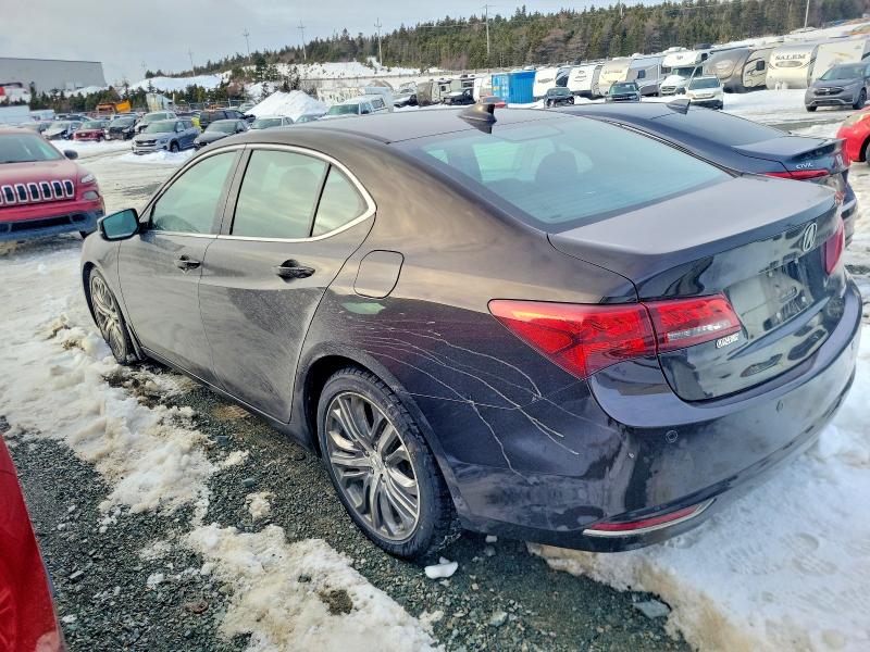 74641015 :رقم المزاد ، 19UUB3F70HA800869 vin ، 2017 Acura Tlx Advanc مزاد بيع