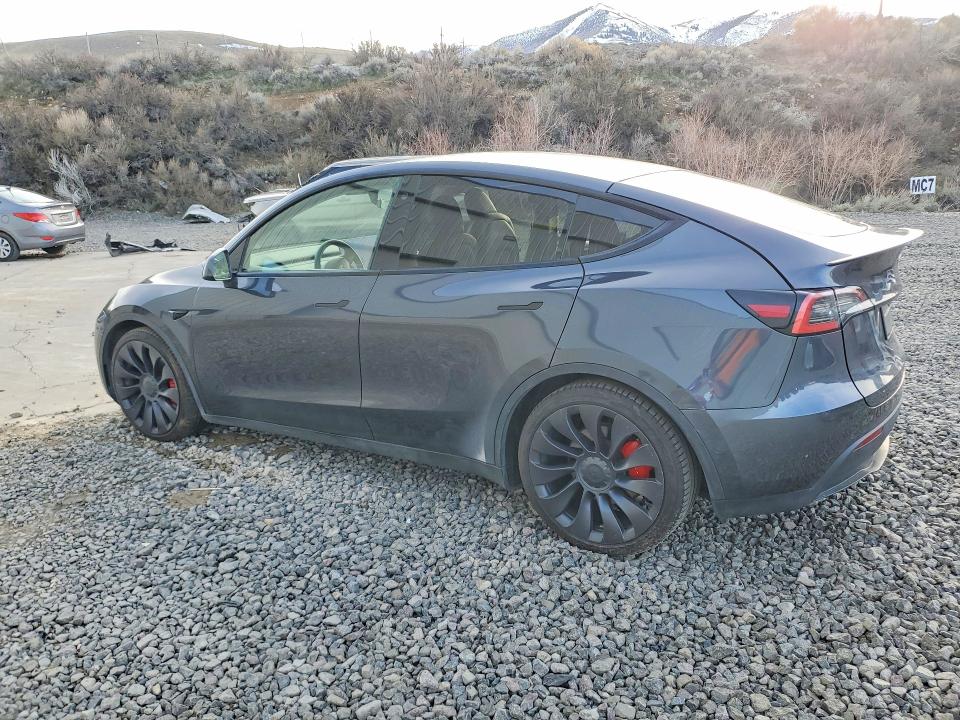 78549075 :رقم المزاد ، 5YJYGDEF9MF093613 vin ، 2021 Tesla Model Y مزاد بيع