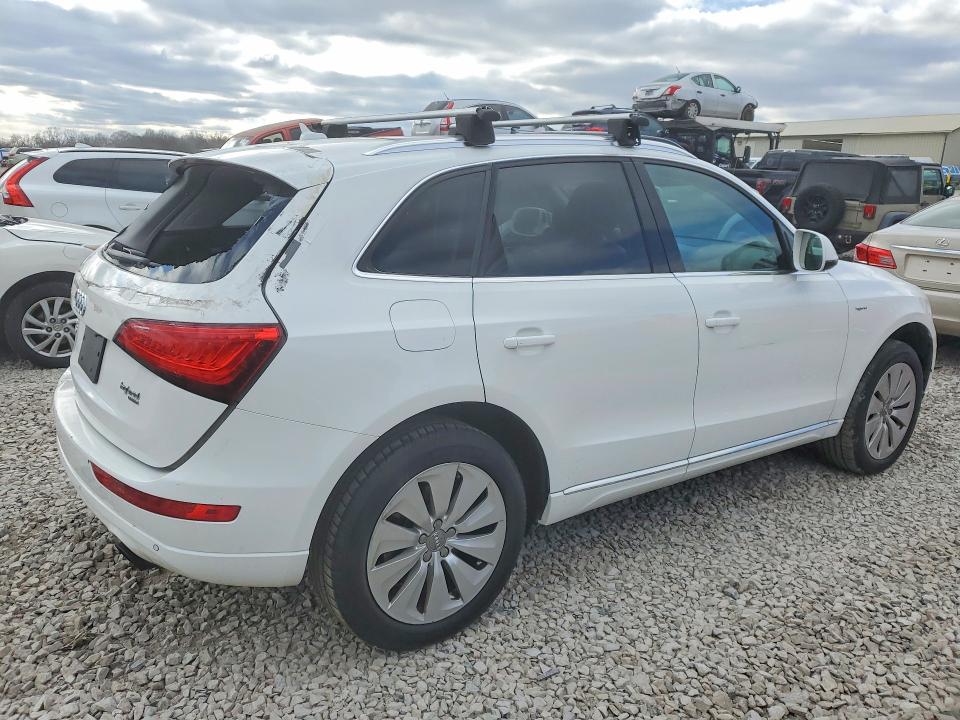 Продаж на аукціоні авто 2013 Audi Q5, vin: WA1C8AFP4DA006409, номер лоту: 77797925