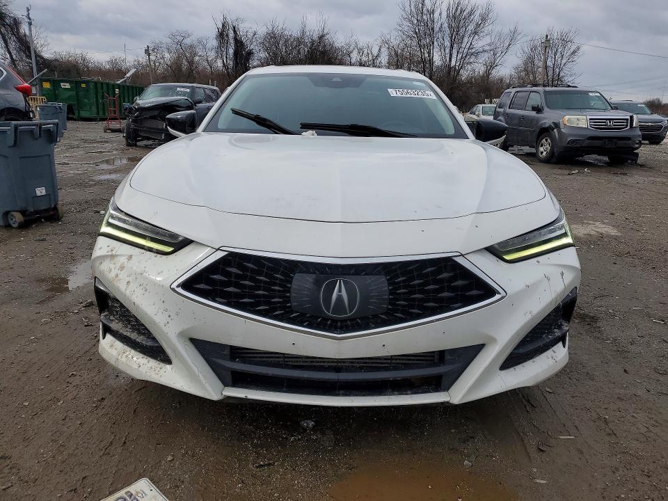 Продаж на аукціоні авто 2021 Acura Tlx, vin: 19UUB6F41MA010000, номер лоту: 75563235