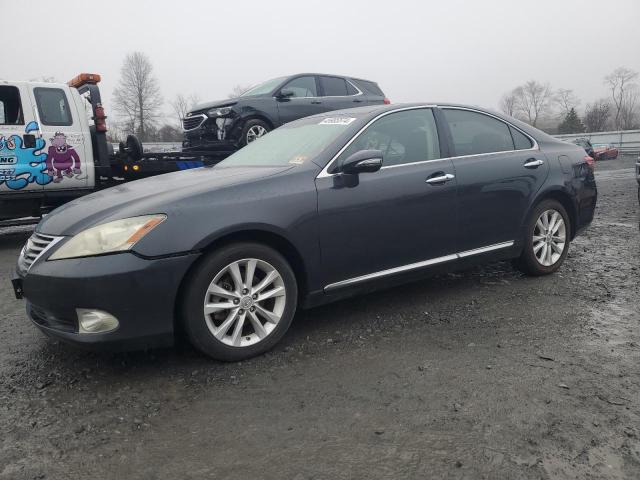 Продаж на аукціоні авто 2010 Lexus Es 350, vin: JTHBK1EG9A2381012, номер лоту: 45985574