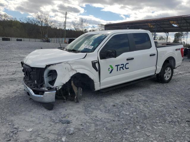 Продажа на аукционе авто 2023 Ford F150 Super, vin: 1FTEW1EP8PFA03624, номер лота: 49273815
