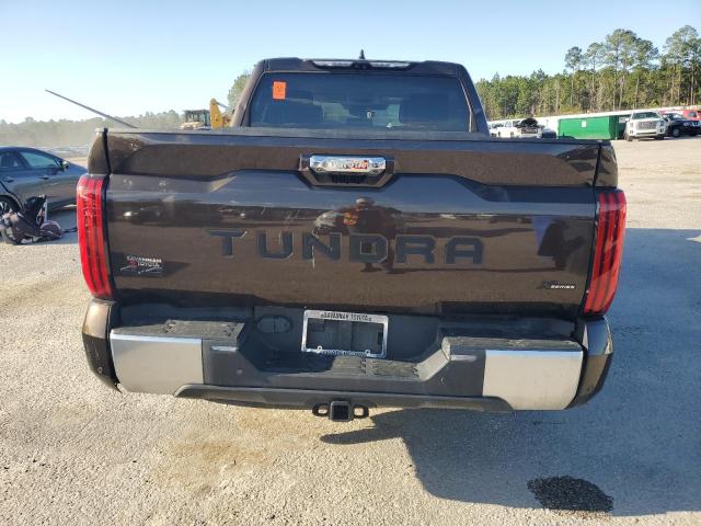 2023 Toyota Tundra მანქანა იყიდება აუქციონზე, vin: 5TFJA5DB2PX090263, აუქციონის ნომერი: 48057545