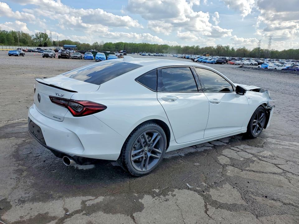 Продаж на аукціоні авто 2024 Acura Tlx, vin: 19UUB6F57RA001382, номер лоту: 48245466