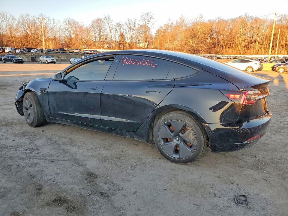 Продаж на аукціоні авто 2021 Tesla Model 3, vin: 5YJ3E1EB5MF055503, номер лоту: 42061006