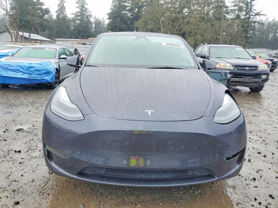 Продажа на аукционе авто 2025 Tesla Model Y, vin: 7SAYGDEE5SF302031, номер лота: 78906805