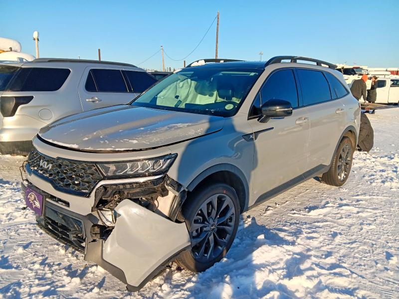 Auction sale of the 2023 Kia Sorento, vin: 5XYRHDLF7PG180587, lot number: 79088385