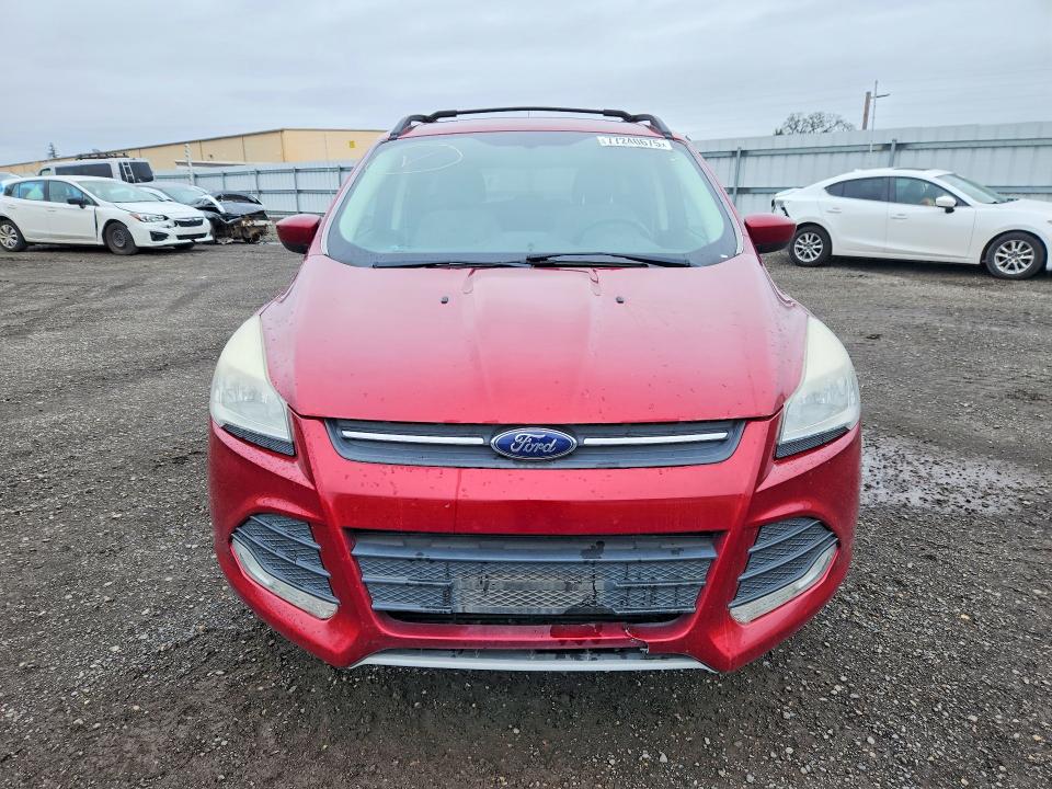 Aukcja sprzedaży 2014 Ford Escape, vin: 1FMCU9G9XEUA62575, numer aukcji: 77240675