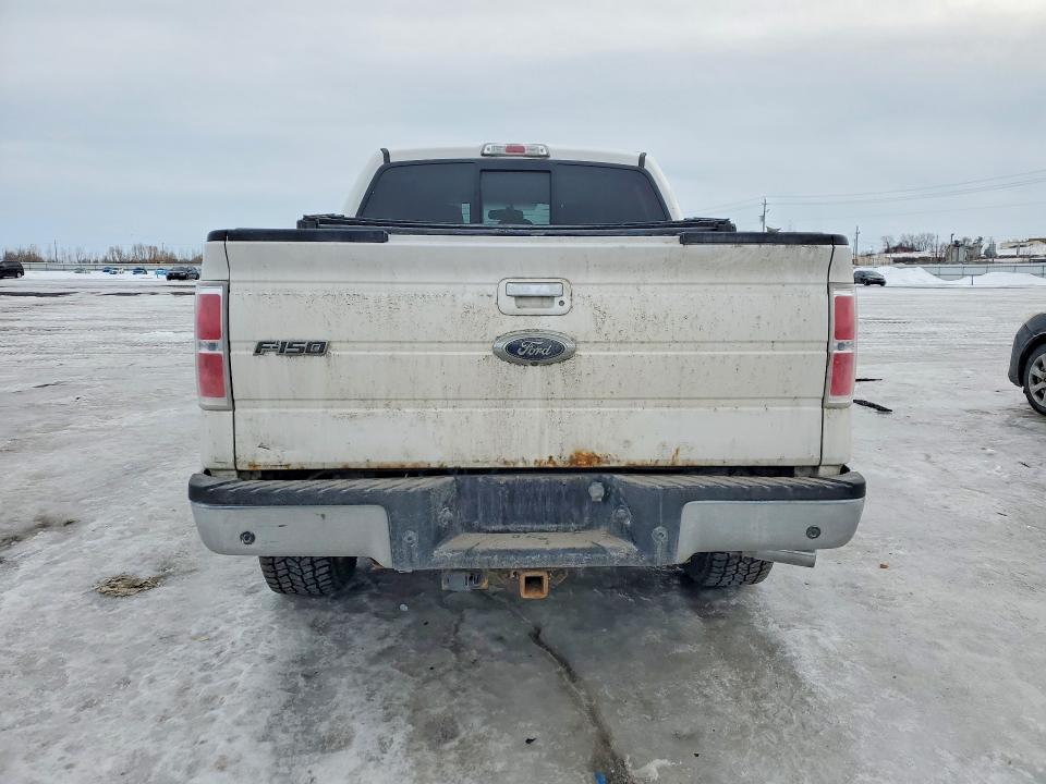 41700566 :رقم المزاد ، 1FTFW1ET1EFA33045 vin ، 2014 Ford F150 مزاد بيع