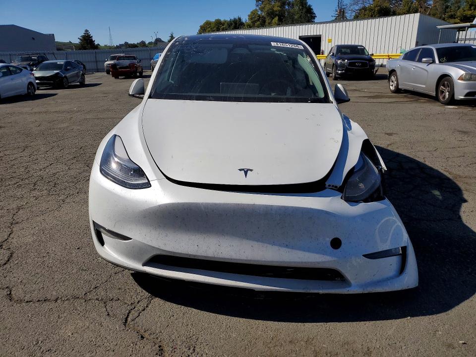 Aukcja sprzedaży 2025 Tesla Model Y, vin: 7SAYGDEE5SF282508, numer aukcji: 41651266