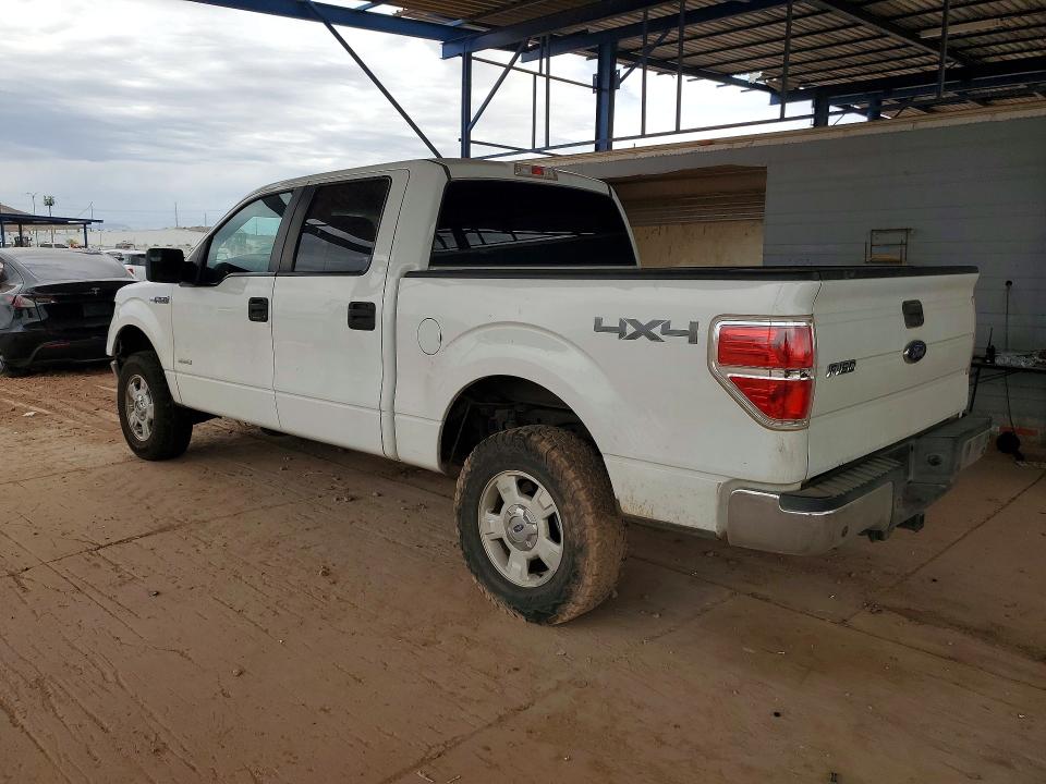 48008636 :رقم المزاد ، 1FTFW1ET5DKF61564 vin ، 2013 Ford F150 مزاد بيع