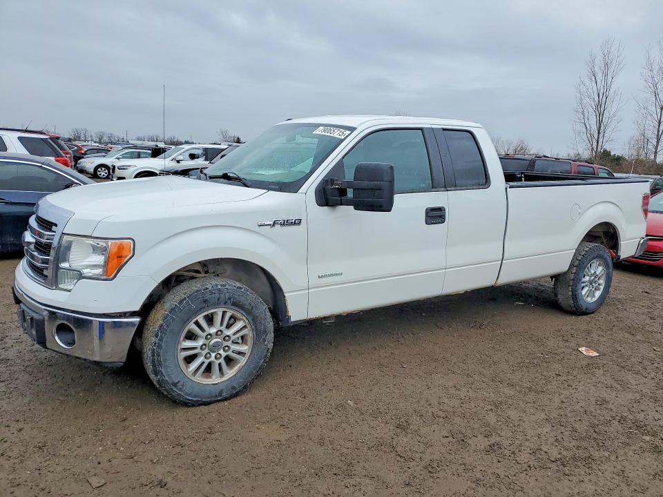 Auction sale of the 2013 Ford F150, vin: 1FTVX1CT1DKE07834, lot number: 79065715