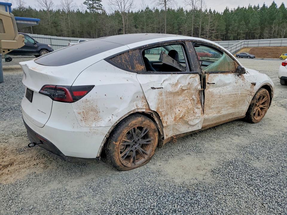 Продаж на аукціоні авто 2024 Tesla Model Y, vin: 7SAYGAEE8RF191631, номер лоту: 79474815