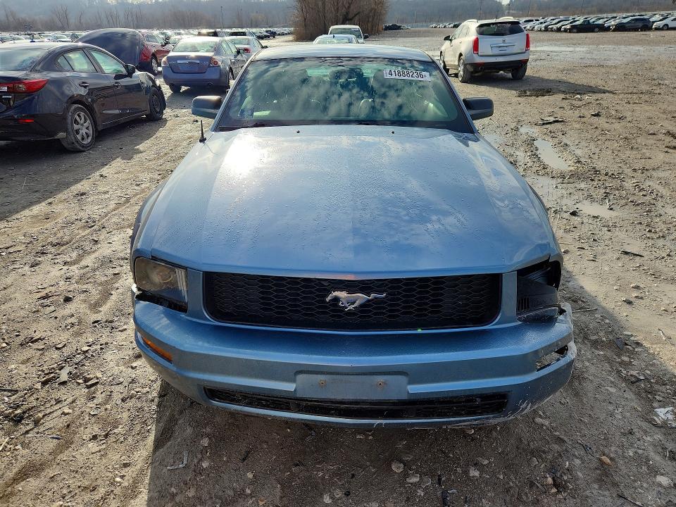 Продаж на аукціоні авто 2005 Ford Mustang, vin: 1ZVFT80N655251589, номер лоту: 41888236
