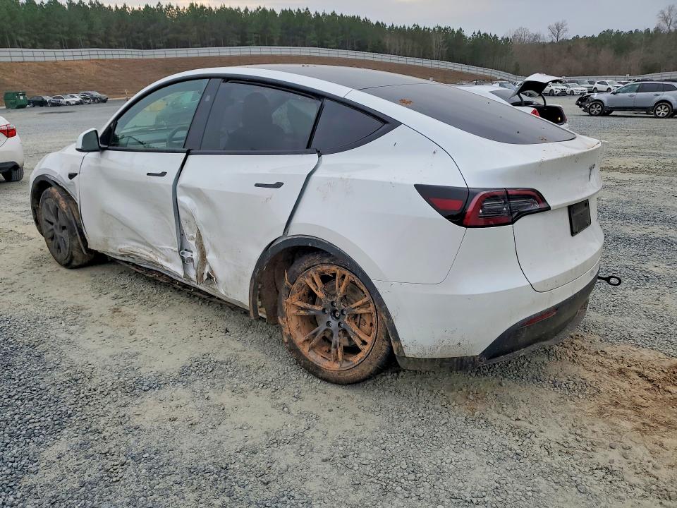 Продаж на аукціоні авто 2024 Tesla Model Y, vin: 7SAYGAEE8RF191631, номер лоту: 79474815