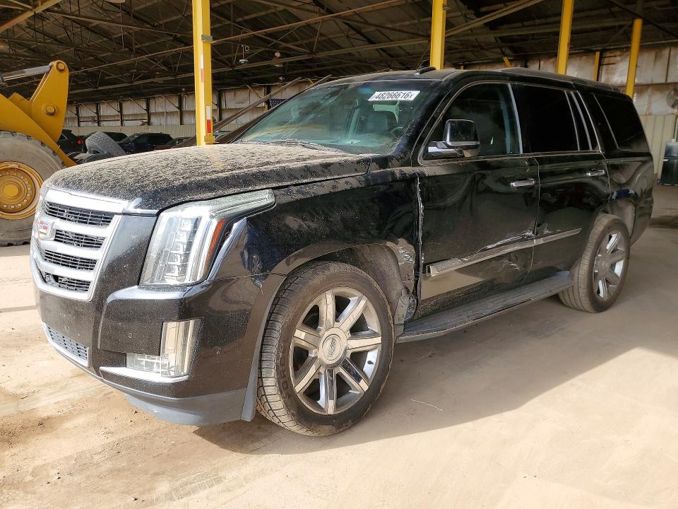 Auction sale of the 2019 Cadillac Escalade, vin: 1GYS4BKJ0KR219306, lot number: 48266616