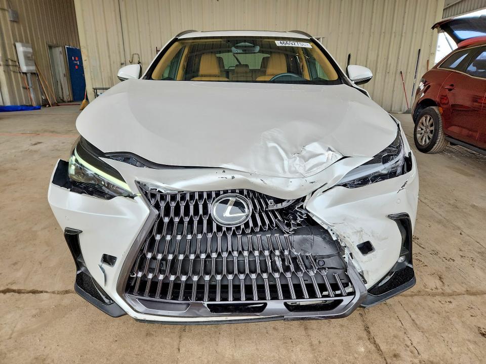Продаж на аукціоні авто 2024 Lexus Nx 250, vin: JTJGDCAZ6R5021501, номер лоту: 46692756