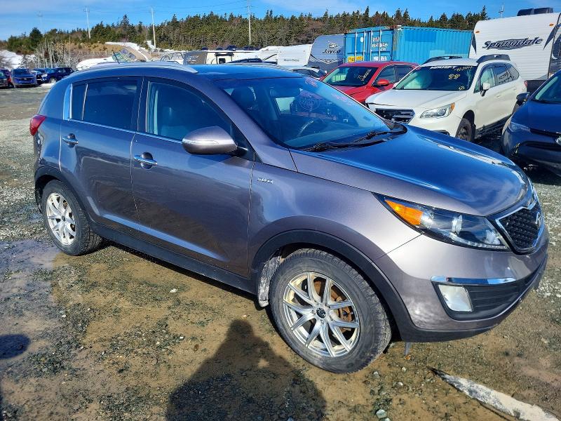 Продаж на аукціоні авто 2013 Kia Sportage, vin: KNDPCCA66D7388438, номер лоту: 77674765
