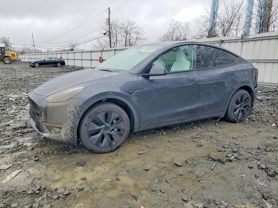 Aukcja sprzedaży 2025 Tesla Model Y, vin: 7SAYGDEE9SF298212, numer aukcji: 46306336