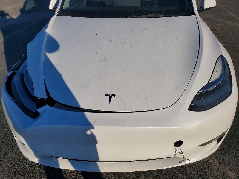 Продаж на аукціоні авто 2023 Tesla Model Y, vin: 7SAYGDEE5PA126568, номер лоту: 41887756