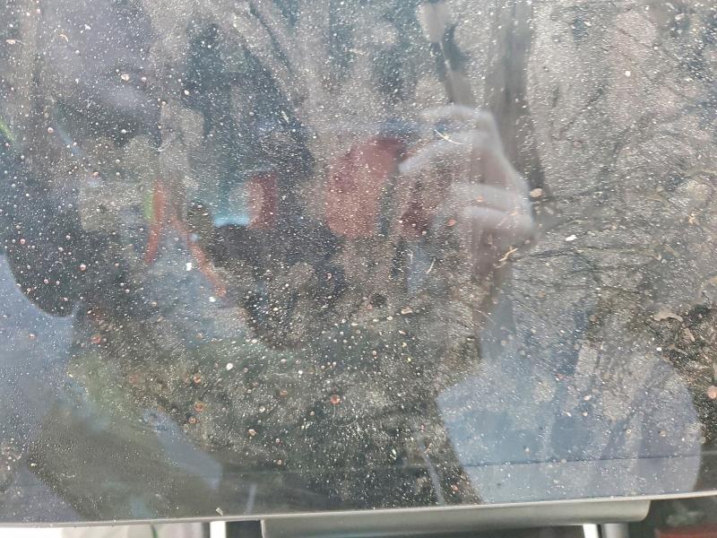 Aukcja sprzedaży 2019 Tesla Model 3, vin: 5YJ3E1EA4KF323445, numer aukcji: 79975885