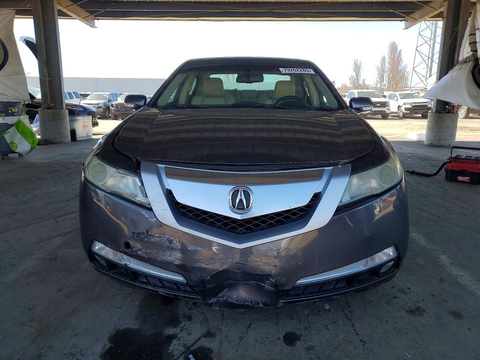 Продаж на аукціоні авто 2009 Acura Tl, vin: 19UUA86549A016615, номер лоту: 79262285