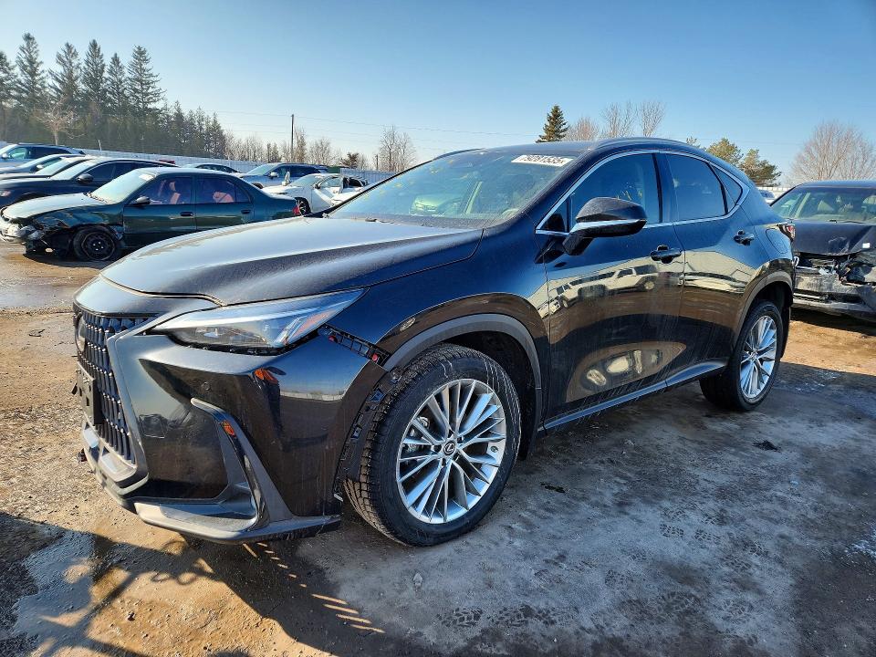 Aukcja sprzedaży 2023 Lexus Nx 350, vin: 2T2GGCEZ5PC022073, numer aukcji: 79281535