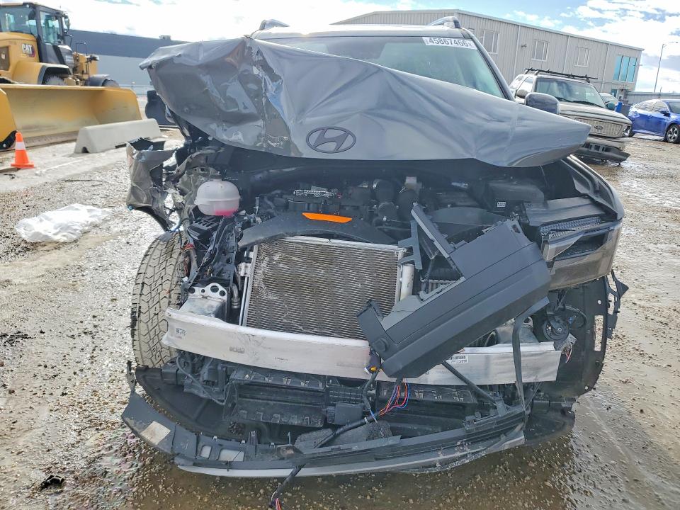 Aukcja sprzedaży 2025 Hyundai Santa Fe, vin: 5NMP3DGL6SH125665, numer aukcji: 45867466