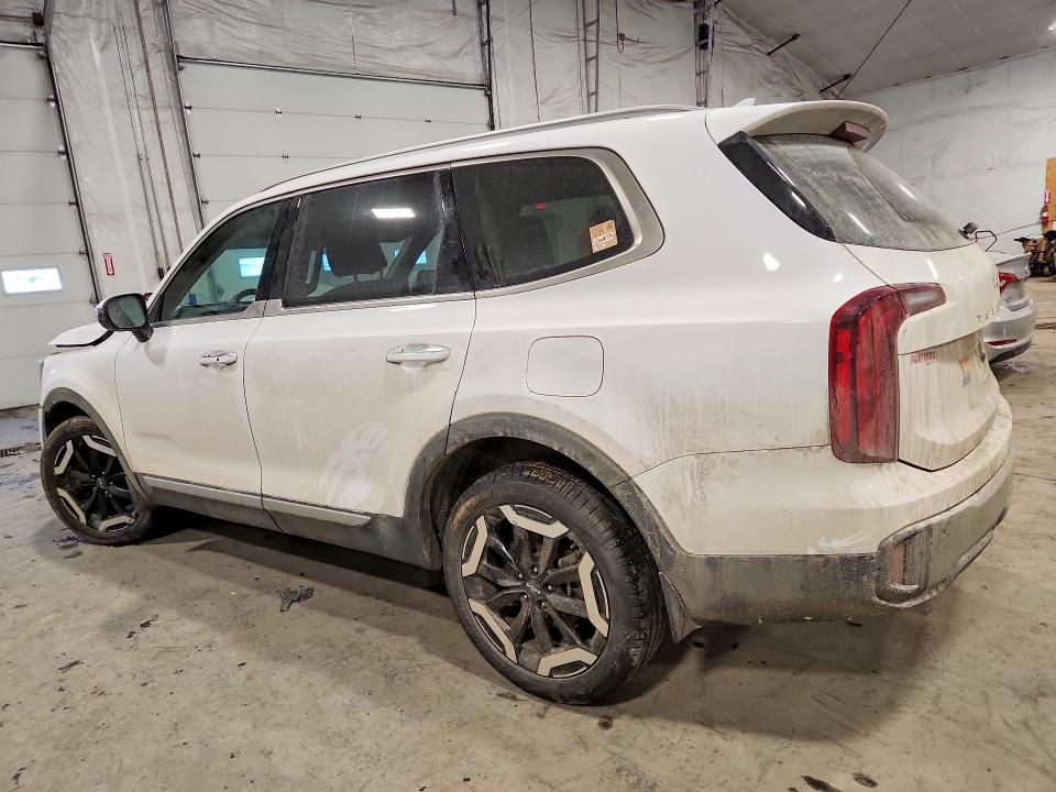 Aukcja sprzedaży 2025 Kia Telluride, vin: 5XYP6DGCXSG600817, numer aukcji: 79446665