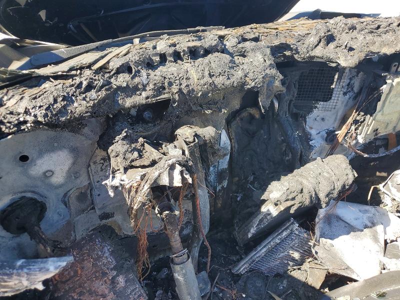 Продаж на аукціоні авто 2024 Tesla Model Y, vin: 7SAYGDEFXRF080346, номер лоту: 41652446