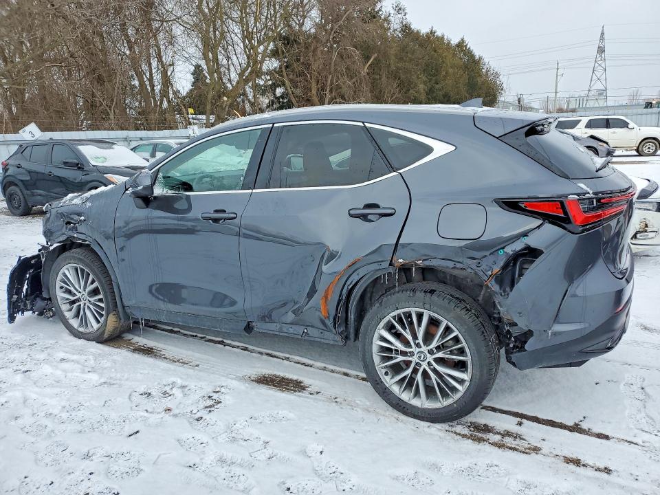 46534216 :رقم المزاد ، 2T2GKCEZ7SC038332 vin ، 2025 Lexus Nx 350 مزاد بيع