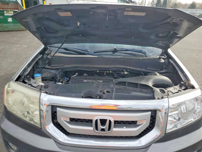 Продаж на аукціоні авто 2009 Honda Pilot, vin: 5FNYF48469B002365, номер лоту: 79634595