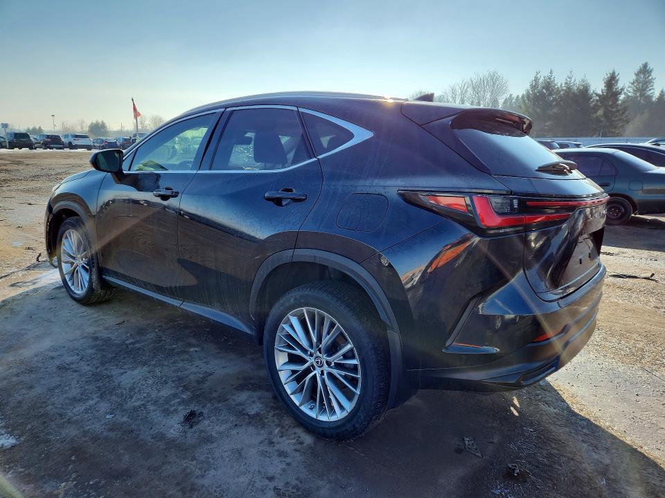 79281535 :رقم المزاد ، 2T2GGCEZ5PC022073 vin ، 2023 Lexus Nx 350 مزاد بيع