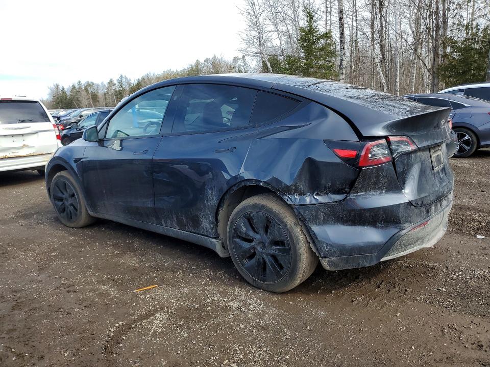 Продаж на аукціоні авто 2025 Tesla Model Y, vin: 7SAYGDEE7SF283787, номер лоту: 79155235