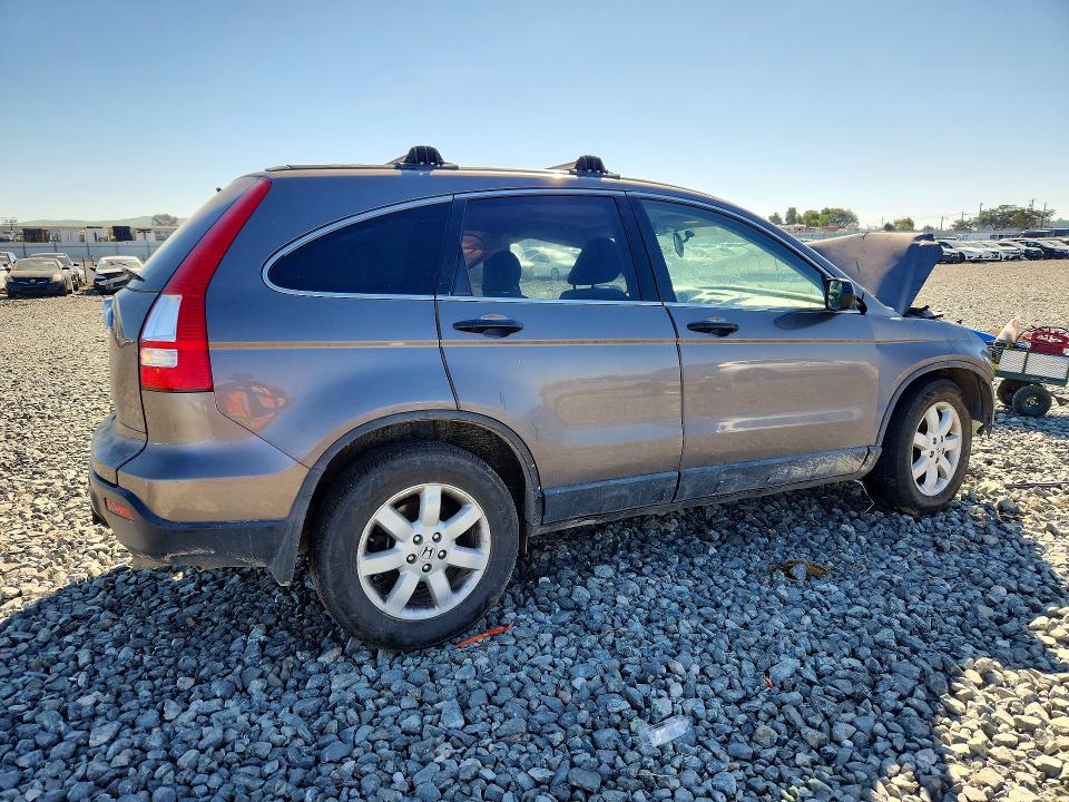 Продажа на аукционе авто 2009 Honda Cr-v, vin: 5J6RE38559L007414, номер лота: 46387586