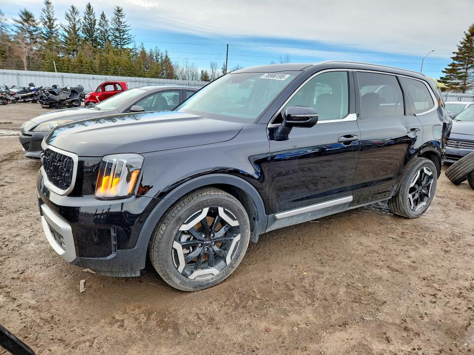 2024 Kia Telluride მანქანა იყიდება აუქციონზე, vin: 5XYP3DGC3RG516955, აუქციონის ნომერი: 78906195