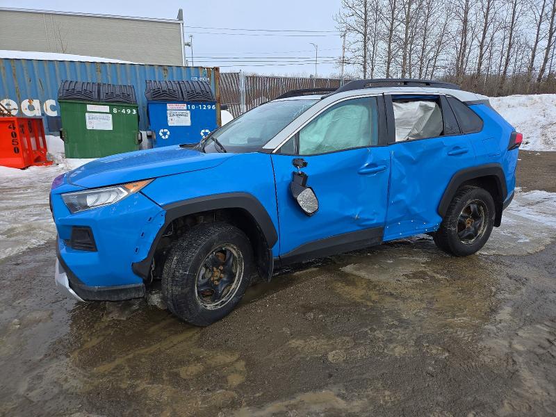Auction sale of the 2019 Toyota Rav4, vin: 2T3J1RFV9KC034317, lot number: 46417936