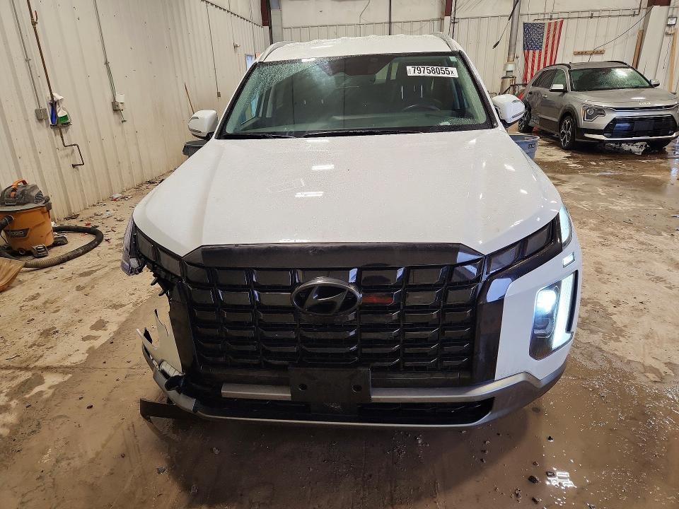 Продаж на аукціоні авто 2025 Hyundai Palisade, vin: KM8R2DGE3SU831297, номер лоту: 79758055