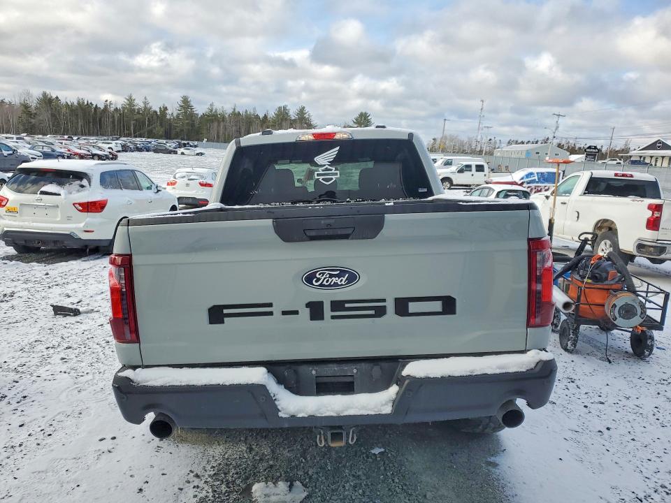 Aukcja sprzedaży 2024 Ford F150, vin: 1FTEW2LP7RFB85859, numer aukcji: 46444876