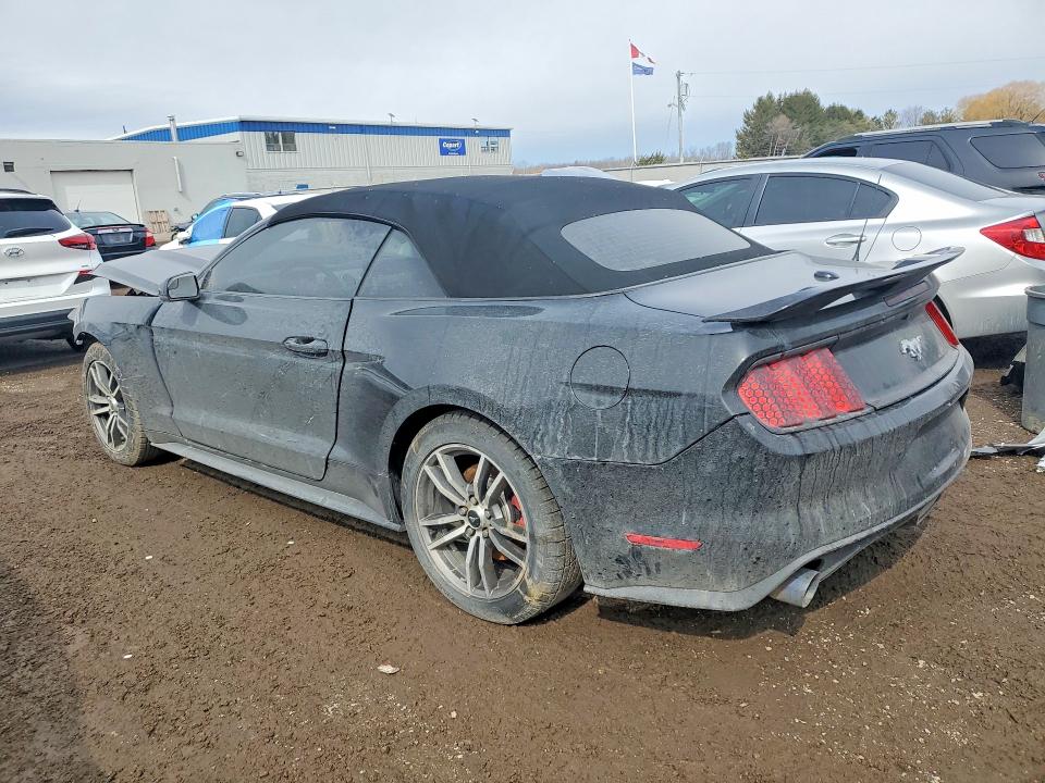 46287416 :رقم المزاد ، 1FATP8UH1H5204141 vin ، 2017 Ford Mustang مزاد بيع