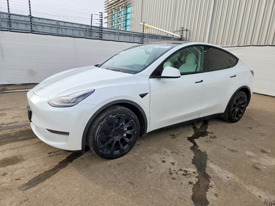 Продаж на аукціоні авто 2020 Tesla Model Y, vin: 5YJYGDEE0LF044550, номер лоту: 46318356