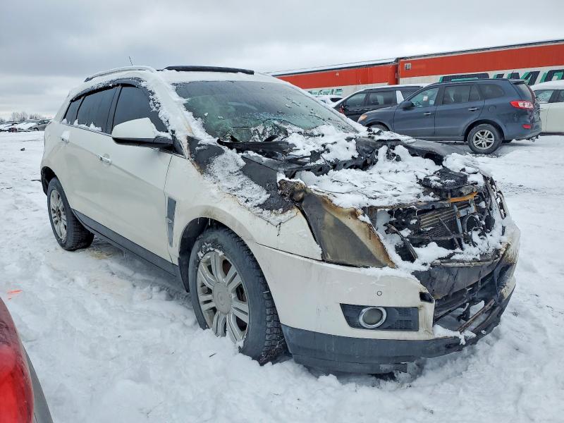 Продаж на аукціоні авто 2010 Cadillac Srx, vin: 3GYFNFE48AS577082, номер лоту: 46648956
