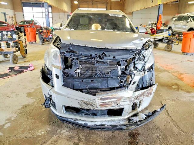 Продаж на аукціоні авто 2014 Cadillac Srx, vin: 3GYFNCE30ES561681, номер лоту: 79467735