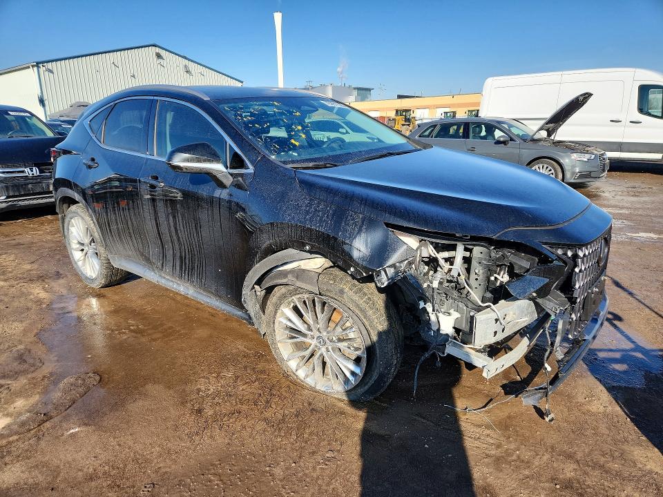 79281535 :رقم المزاد ، 2T2GGCEZ5PC022073 vin ، 2023 Lexus Nx 350 مزاد بيع
