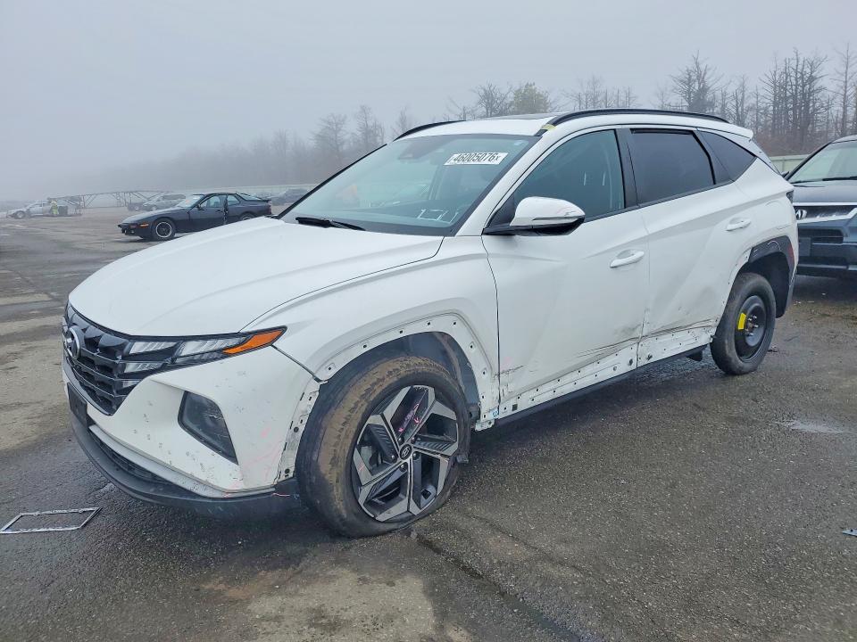 Aukcja sprzedaży 2024 Hyun Tucson, vin: 5NMJFCDE9RH314835, numer aukcji: 46005076