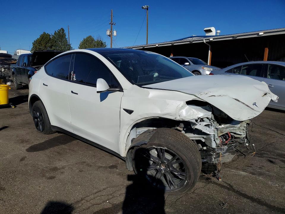Продажа на аукционе авто 2024 Tesla Model Y, vin: 7SAYGDEE1RF151425, номер лота: 79486755