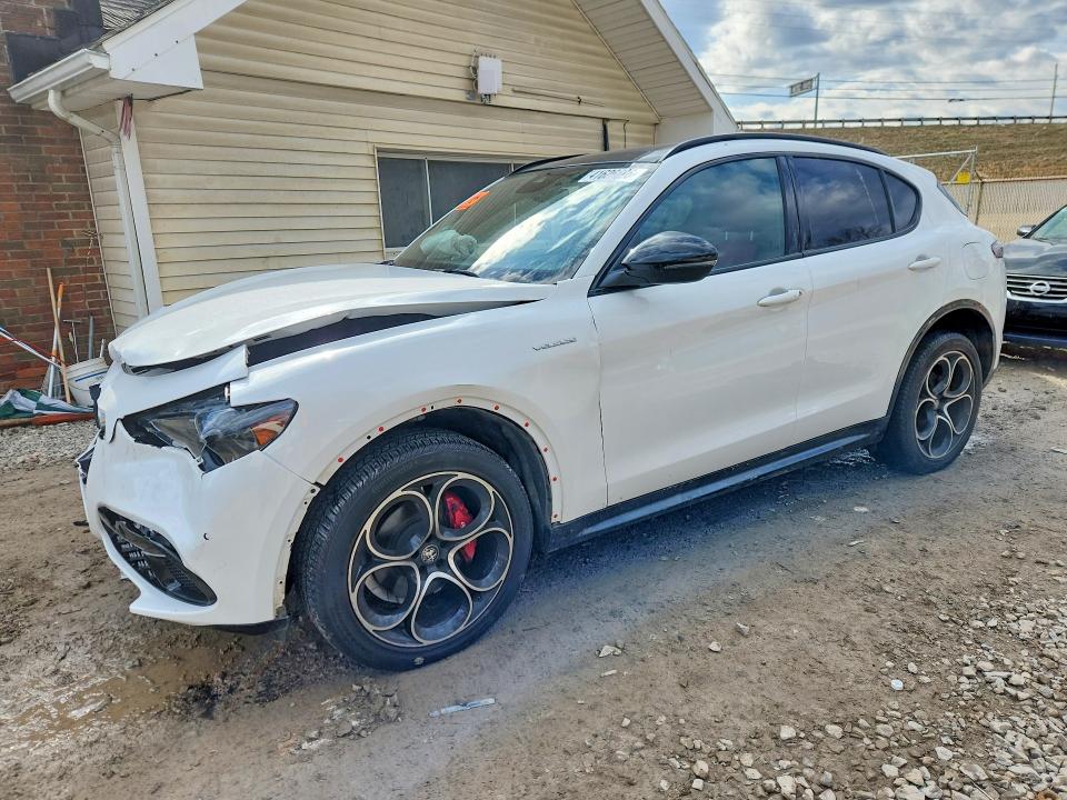 Продаж на аукціоні авто 2024 Alfa Romeo Stelvio, vin: ZASPAKBN9R7D77972, номер лоту: 41626696