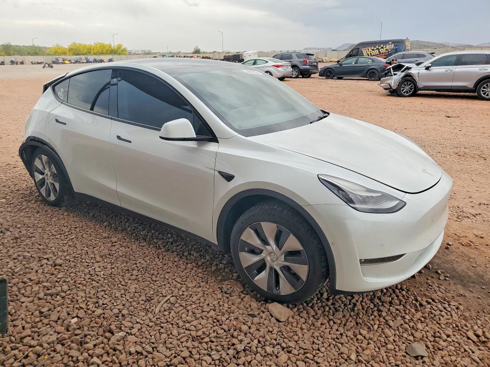 48295596 :رقم المزاد ، 5YJYGDED4MF105505 vin ، 2021 Tesla Model Y مزاد بيع