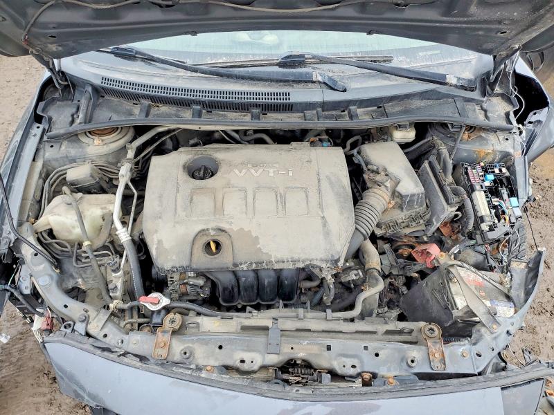 Продажа на аукционе авто 2009 Toyota Corolla, vin: 2T1BU40E59C101408, номер лота: 77725245