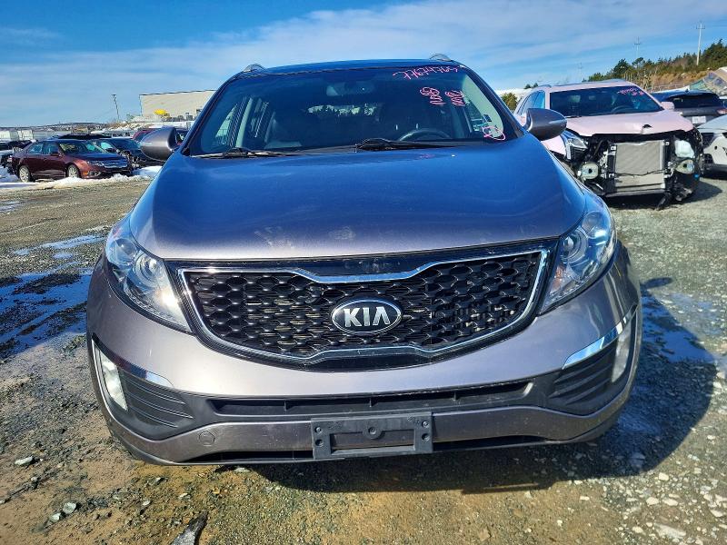 Продаж на аукціоні авто 2013 Kia Sportage, vin: KNDPCCA66D7388438, номер лоту: 77674765